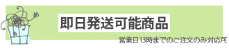 即日発送