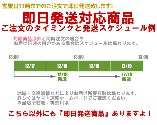 即日発送商品